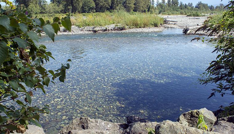 A calm section of the river. Doesn't it look refreshing?